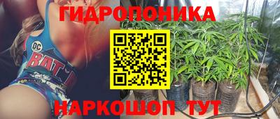 прущие крисы Лесосибирск