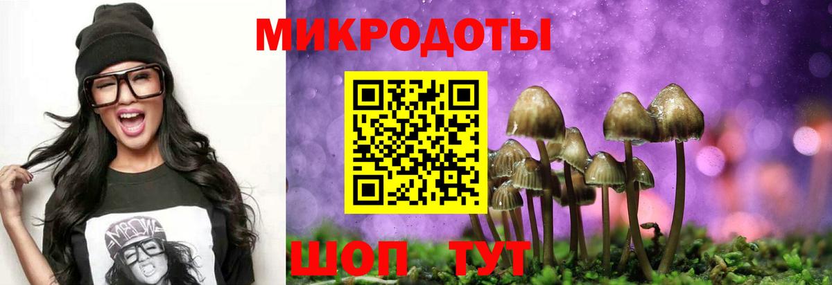 Дмитров  закладки  Вход с VPN  Псилоцибиновые грибы мухоморы  Псилоцибиновые грибы Psilocybe 